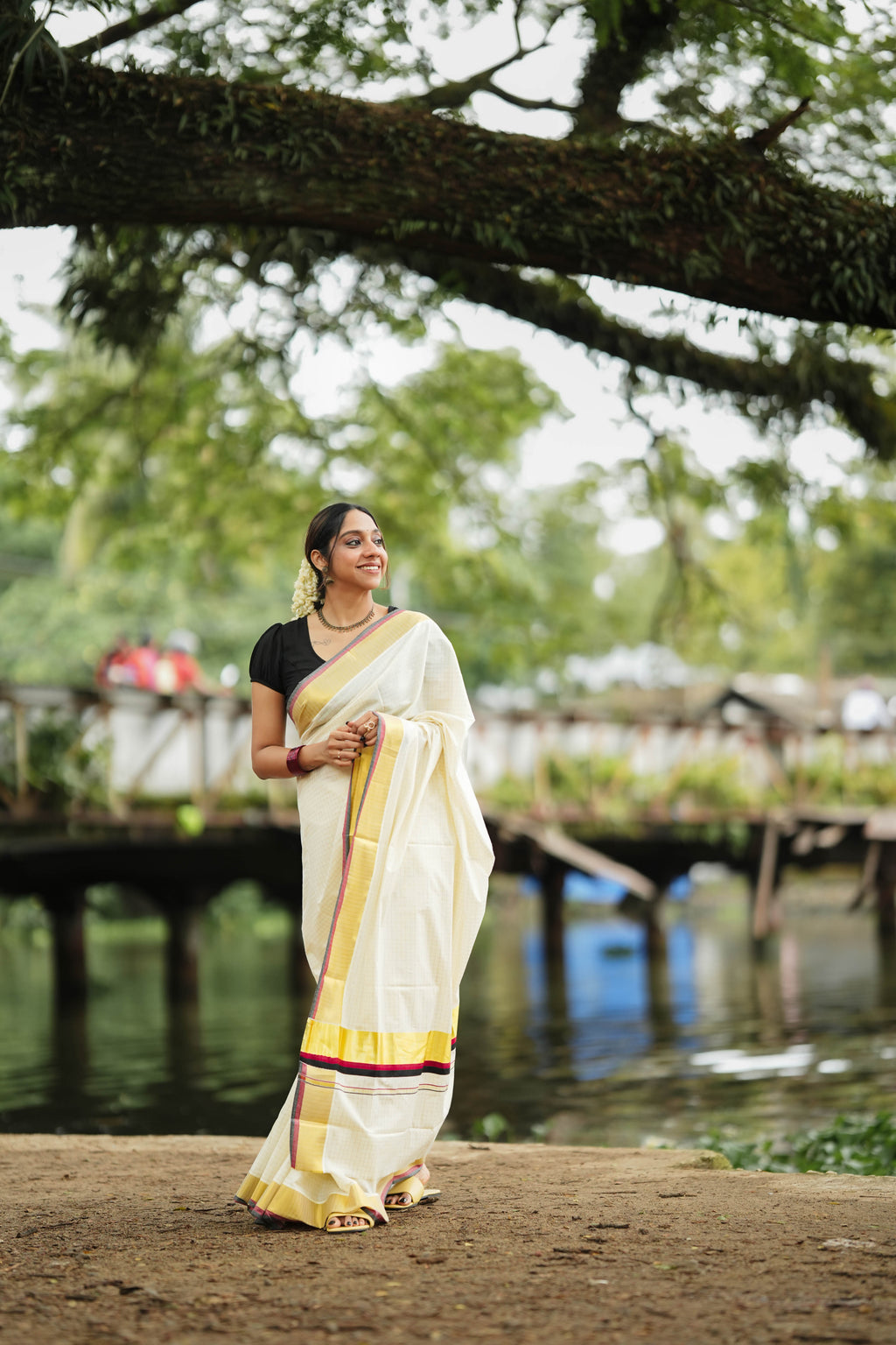 vaani saree