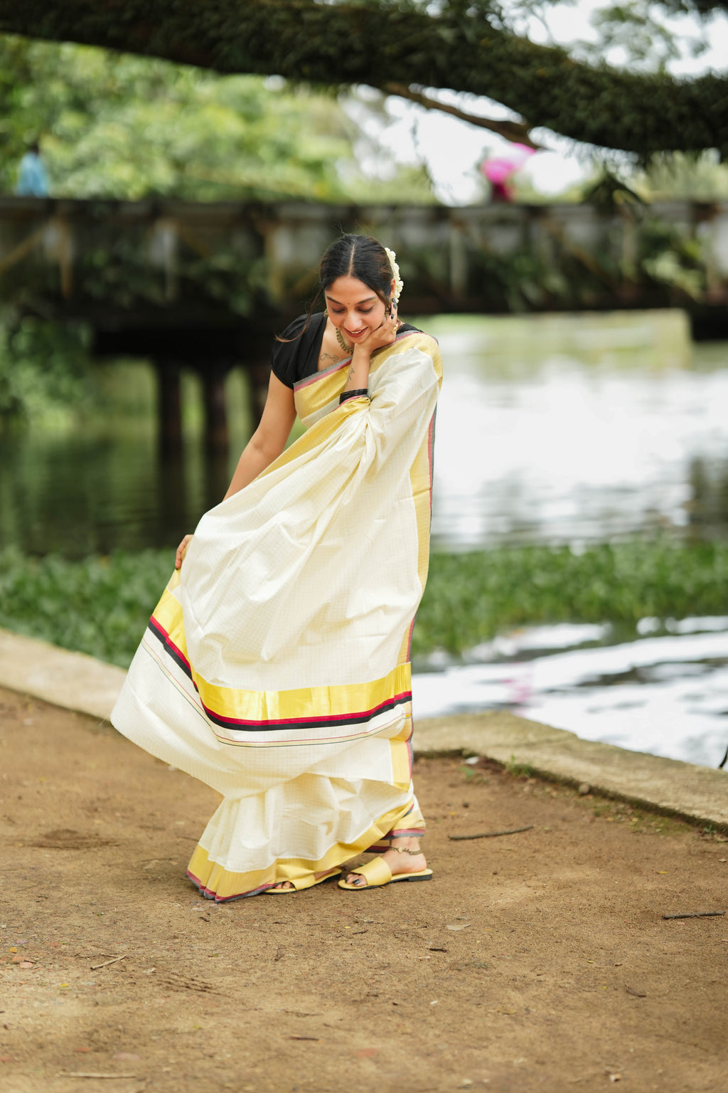 vaani saree