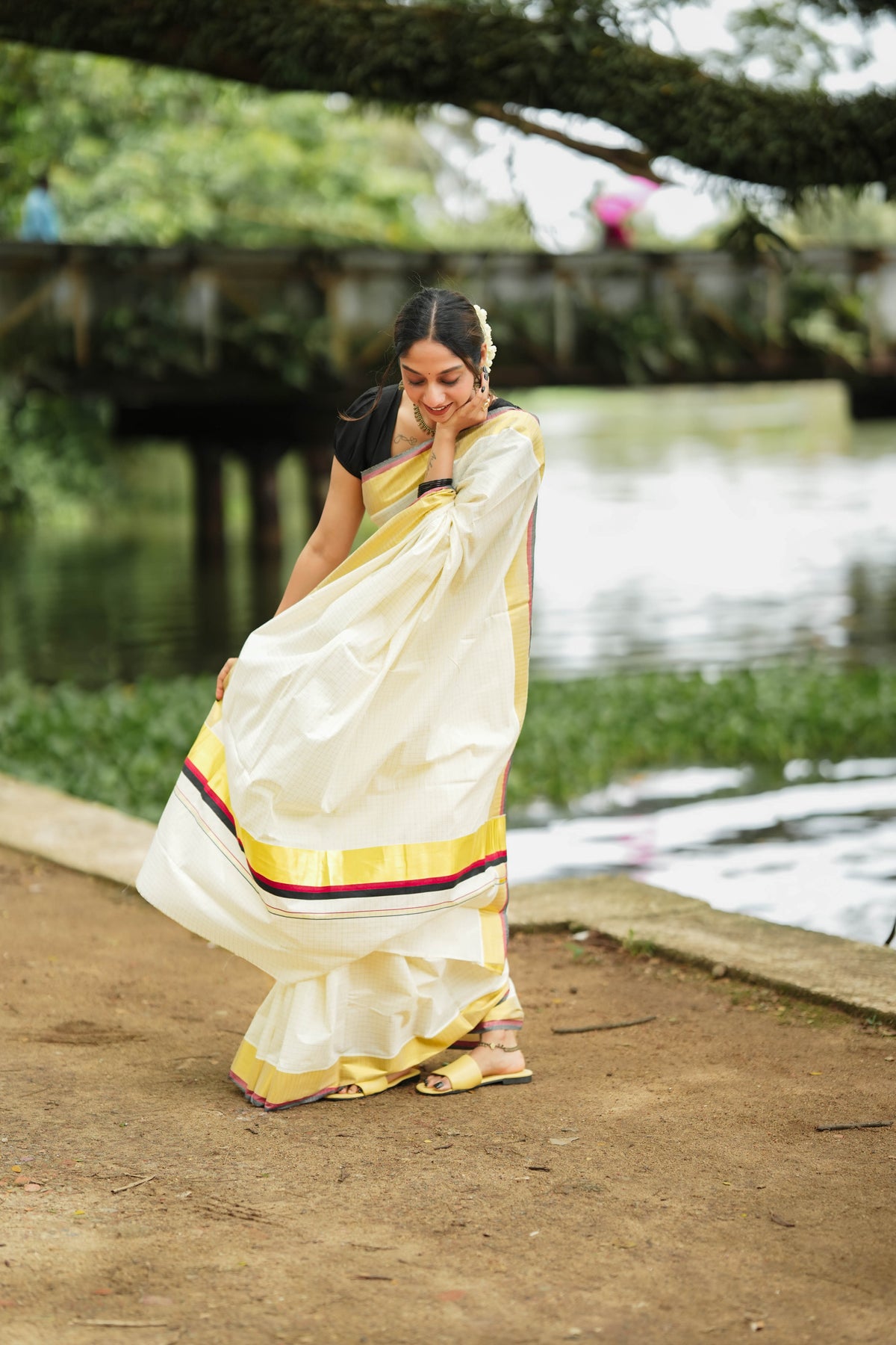 vaani saree